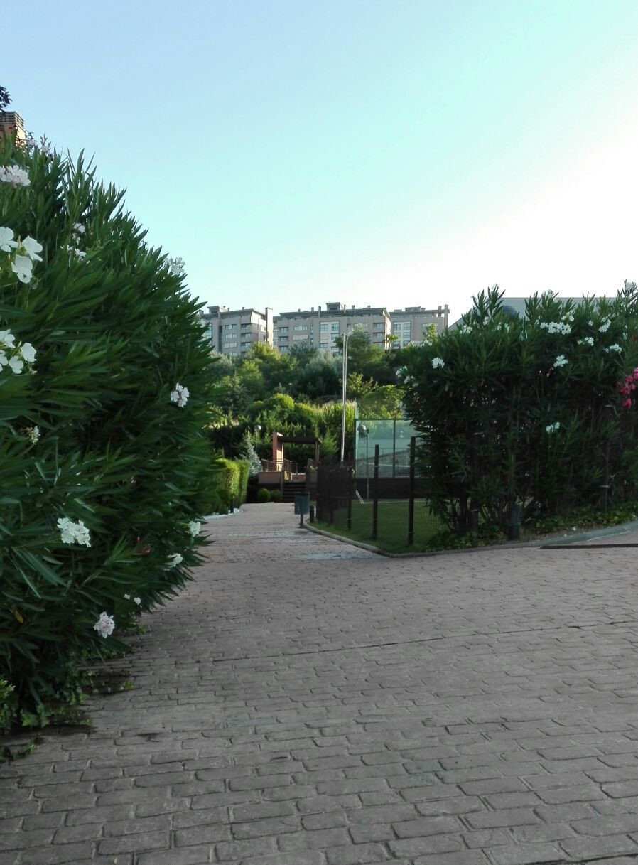 Mantenimiento de Jardines - Comunidades en Valladolid
