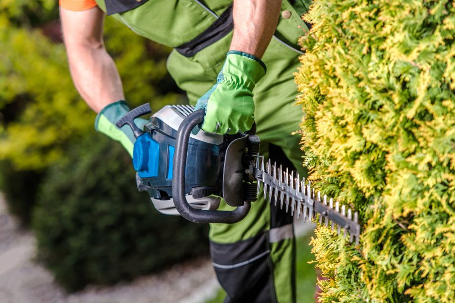 ¿Debo contratar servicio de jardinería para mi comunidad de vecinos?
