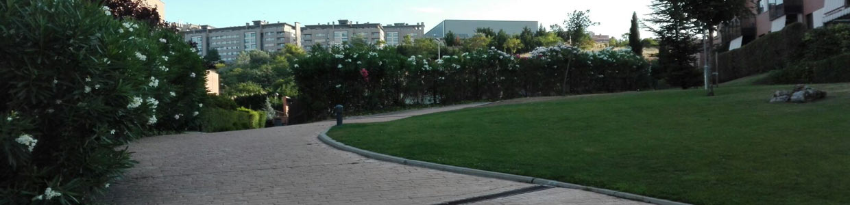 Mantenimiento de Jardines - Comunidades en Valladolid