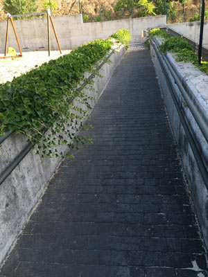 Mantenimiento de Jardines - Comunidades en Valladolid