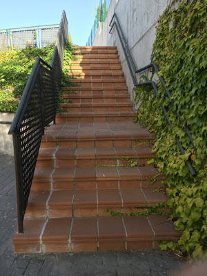 Mantenimiento de Jardines - Comunidades en Valladolid