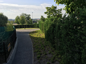 Mantenimiento de Jardines - Comunidades en Valladolid