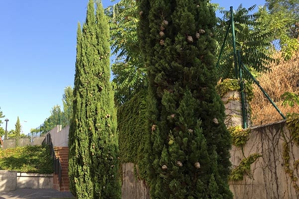 Jardineria 