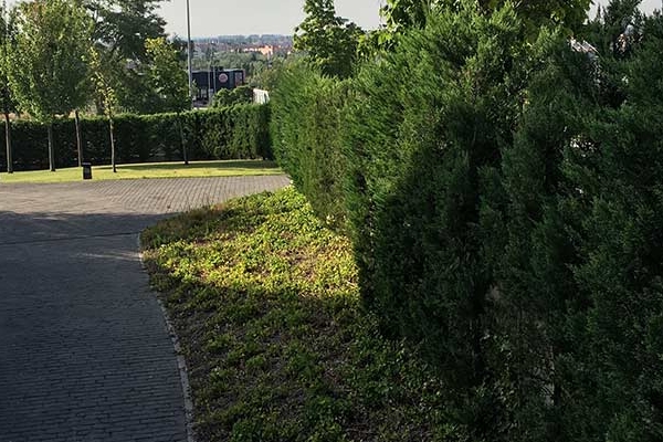 Mantenimiento de Jardines
