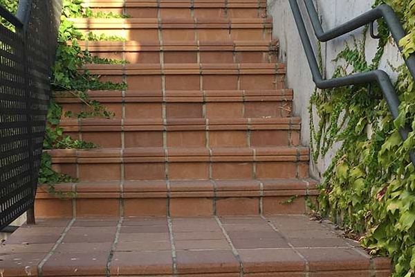 Mantenimiento, jardineria, limpieza